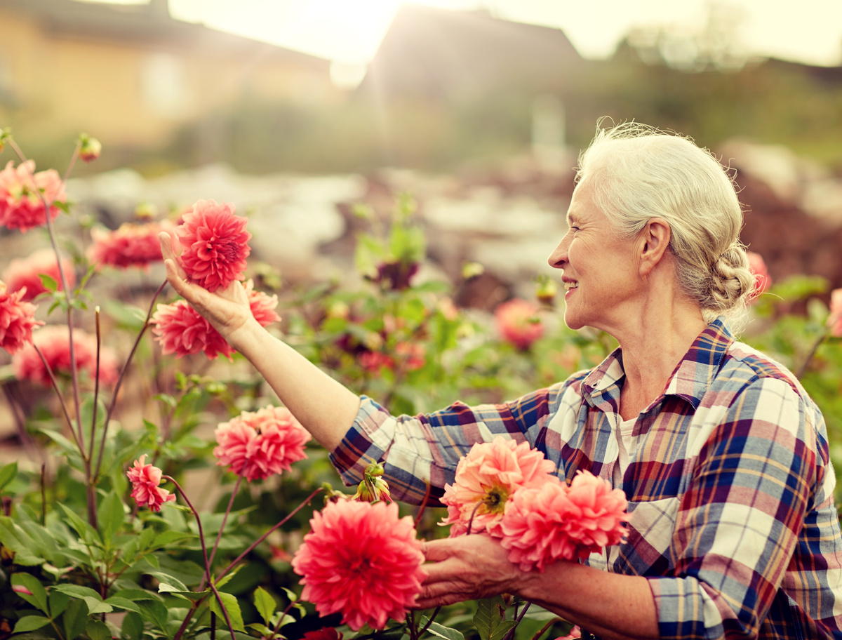 Une femme d'une soixantaine d'année, observe les fleurs dans son jardin 