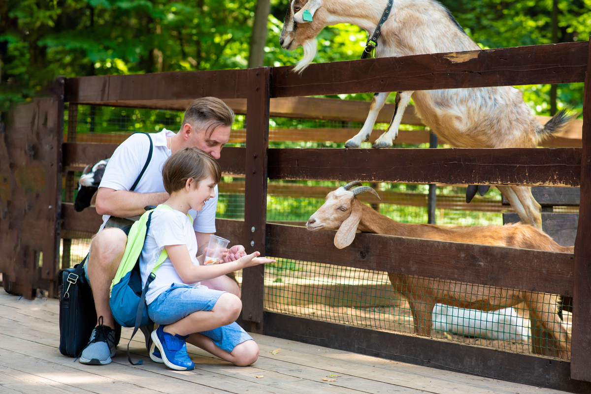 Une famille avec un enfant handicapé profite de vacances à la ferme